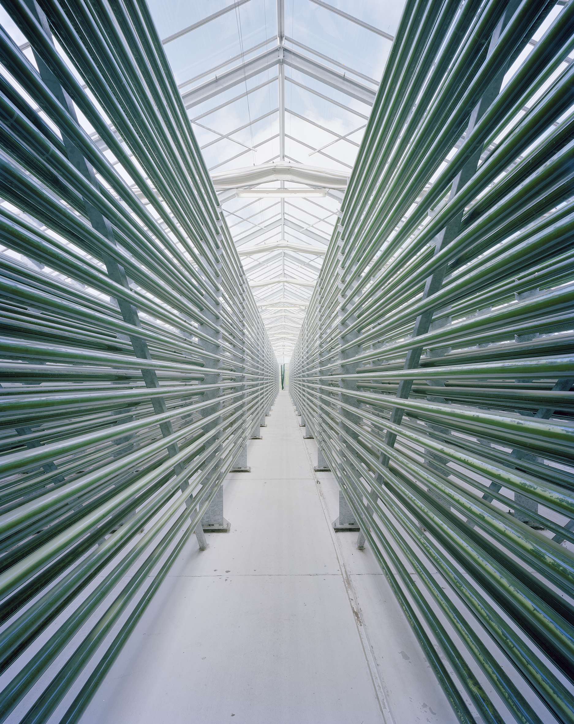 Algenfarm in Deutschland, von Gregor Sailer