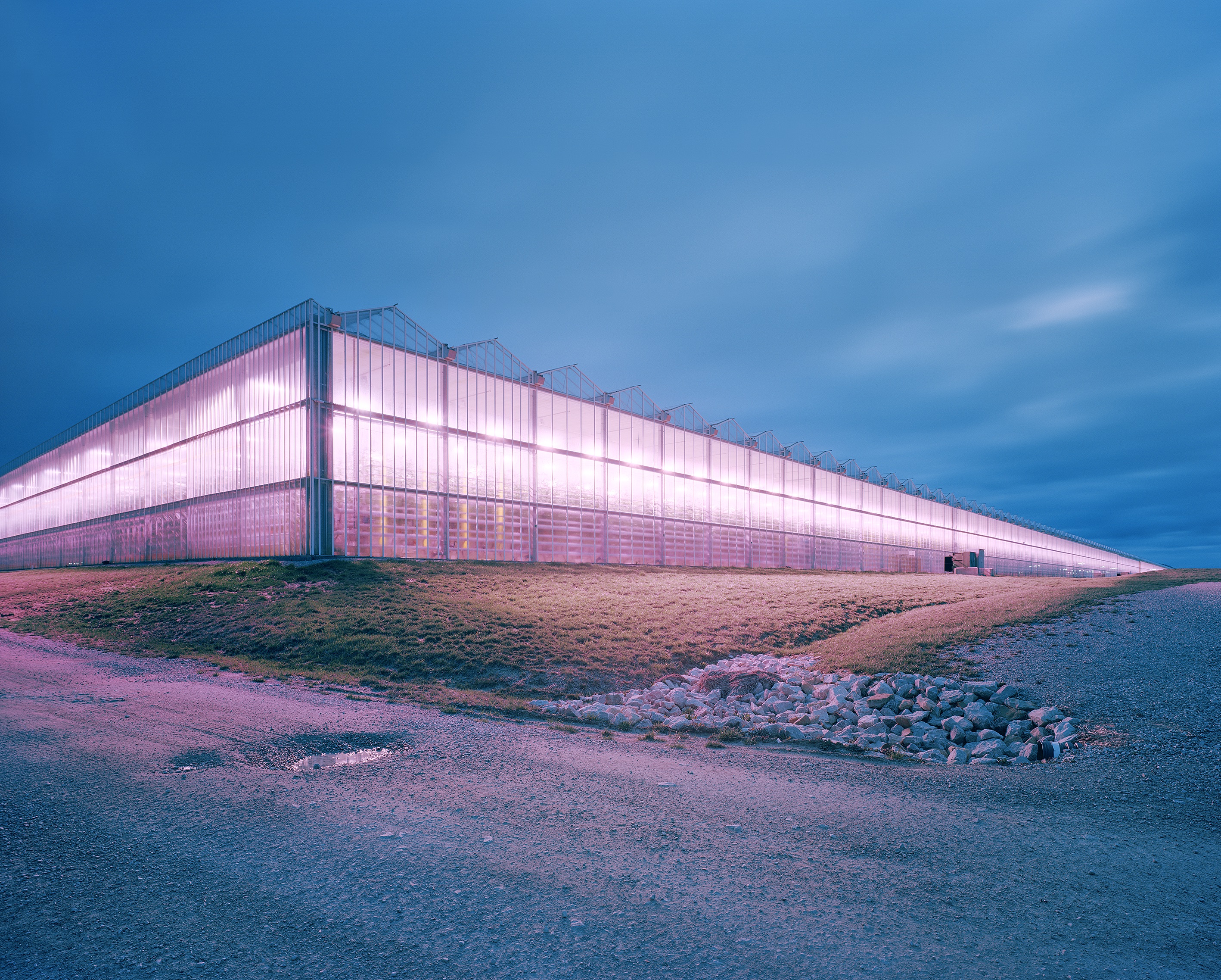 Coverbild Cockaigne, Quallenfarm Aussenaufnahme